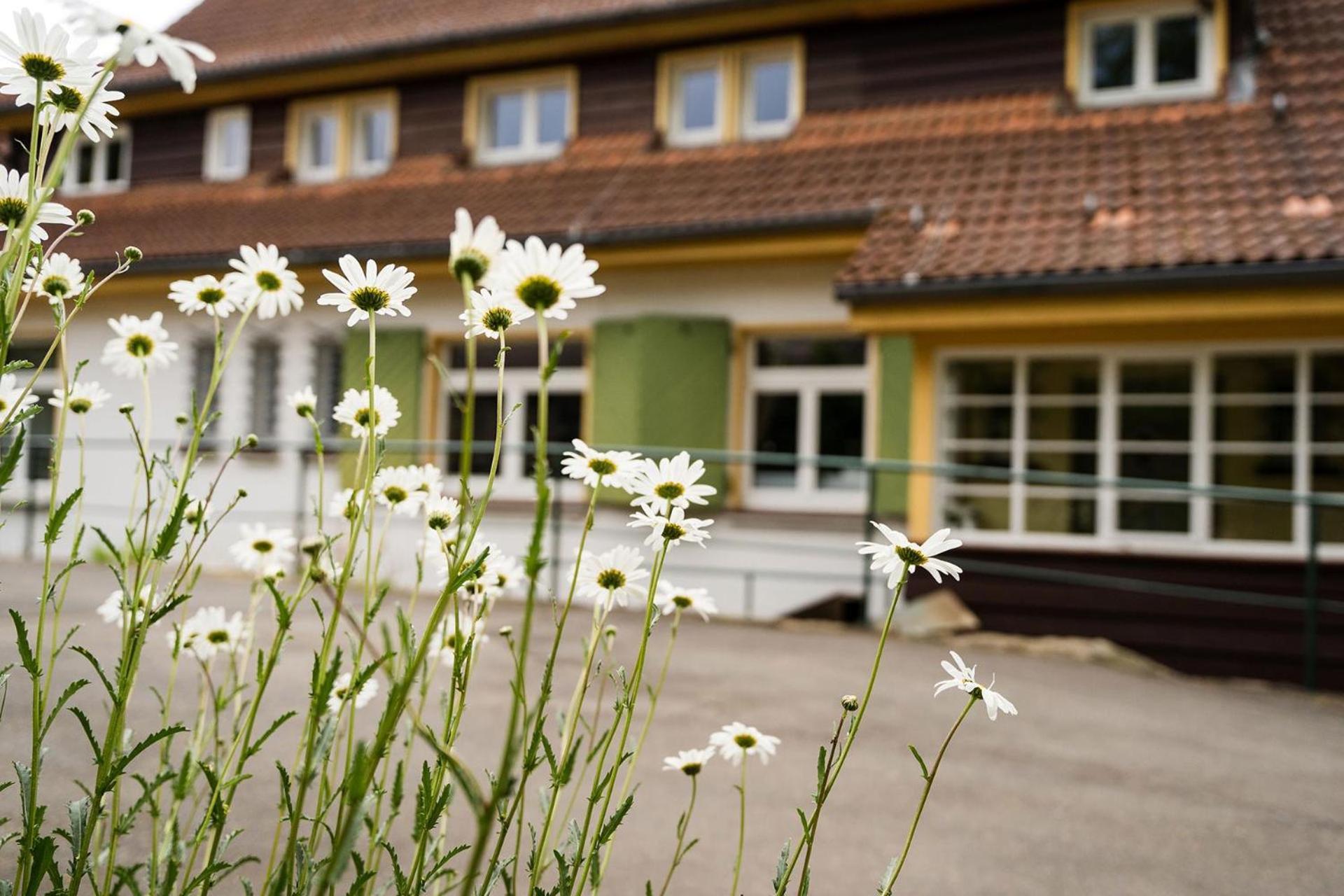Pension Zum Hexenstieg Schierke Exterior photo